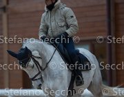 Berlin Tosc Tour2013- S5 1817 : Arezzo, Berlin, Cavalli d'Italia, Toscana Tour 2013, foto di Stefano Secchi ©